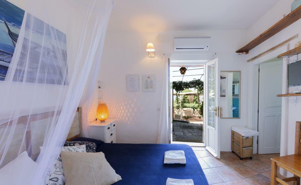 B&B Calandrella Maratea Zewnętrze zdjęcie